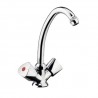 ROBINET MELANGEUR MONOTROU ECO AVEC COL DE CYGNE DE 250 MM